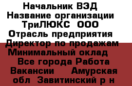 Начальник ВЭД › Название организации ­ ТриЛЮКС, ООО › Отрасль предприятия ­ Директор по продажам › Минимальный оклад ­ 1 - Все города Работа » Вакансии   . Амурская обл.,Завитинский р-н